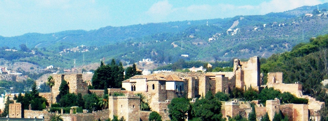 Reunión anual 2010 – Málaga