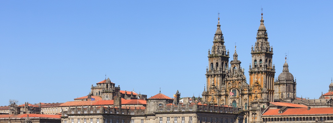 Reunión anual 2009 – Santiago de Compostela