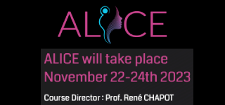 4 becas completas para el curso Alice 2023